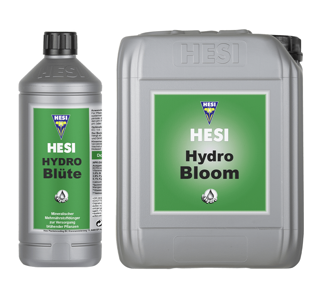 Hesi Hydro Blüte - Grow Zeche