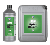 Hesi Hydro Blüte - Grow Zeche