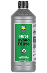 Hesi Hydro Blüte - Grow Zeche
