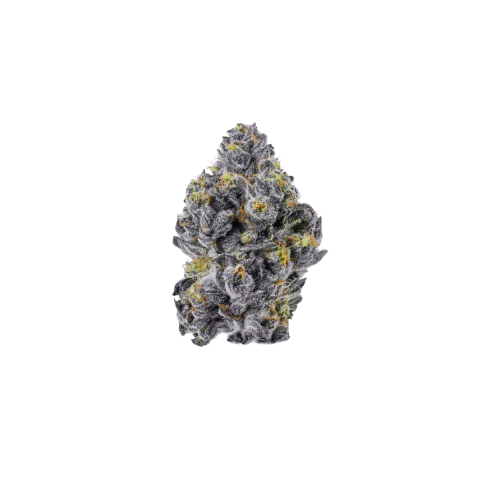 Growers Choice Triploid Sticky Wasabi Fem 3St. - Grow Zeche