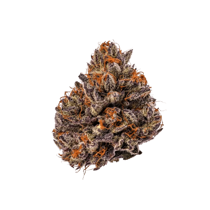 Growers Choice Triploid Tropicana Cherry Fem 3St. - Grow Zeche