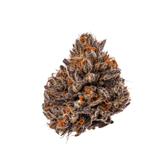 Growers Choice Triploid Tropicana Cherry Fem 3St. - Grow Zeche