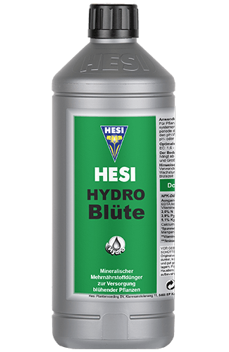 Hesi Hydro Blüte - Grow Zeche