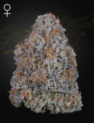 Green House Seed Co. Super Lemon Haze x RS11 Fem. 3St. - Grow Zeche