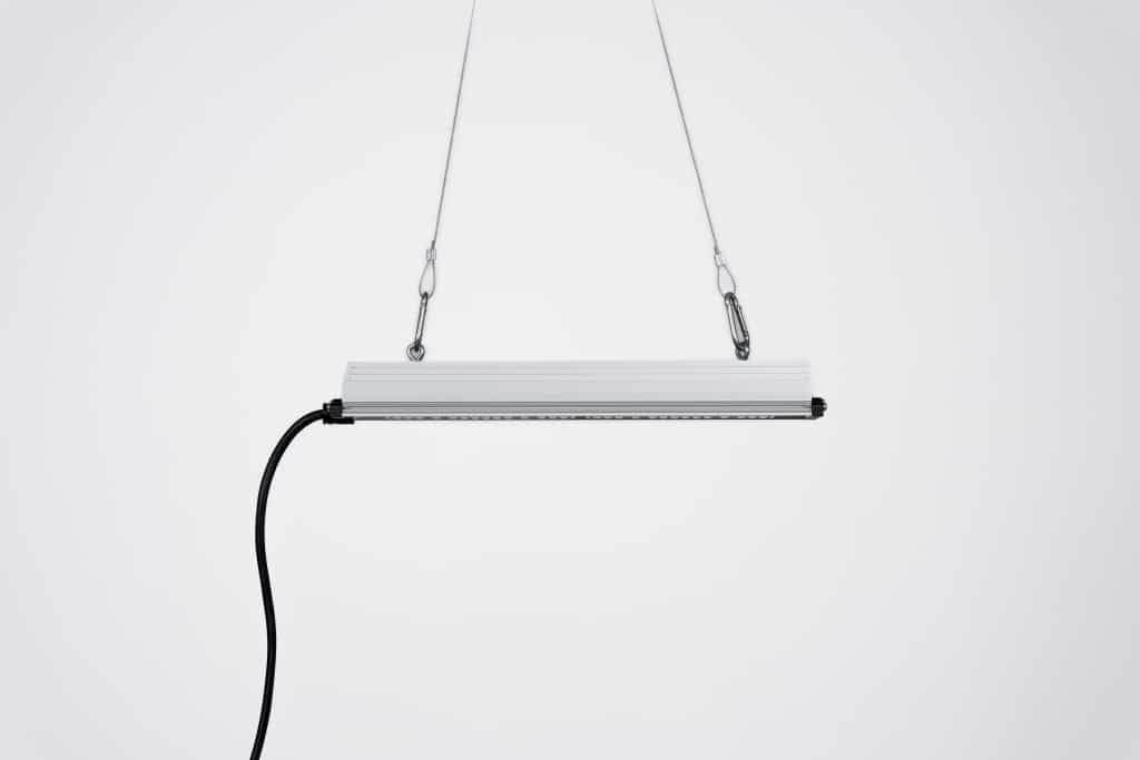 SANLight STIXX 50 - Grow Zeche